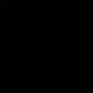 Meet your Posher, Zane